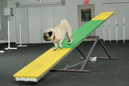 What is the goal of agility training?