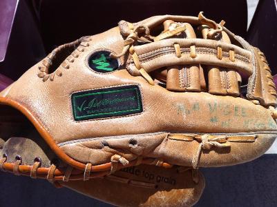 Which of the following materials are used for baseball glove?