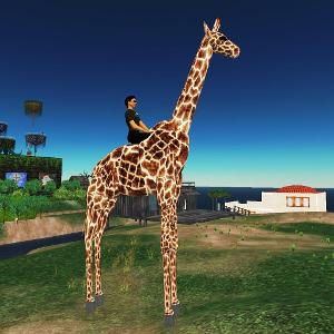 Which game allows you to construct and manage your own virtual zoo?
