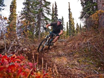 Which US state is known for its extensive network of rail-to-trail bike routes?