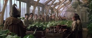 You have Botany with Slytherins...