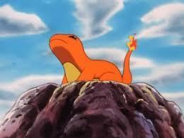 if you find a wounded charmander with a small fire on its tail, what do you do?