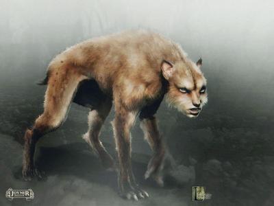 The wolf mutts in Katniss's first games have things that either resemble or were part of all the other fallen tributes, witch of the following did they have?