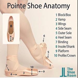 What is the traditional footwear worn by ballet dancers?
