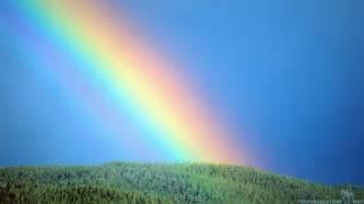 What colour of the rainbow?