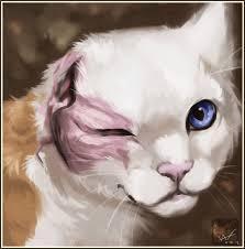 How did Brightheart lose one of her eyes?