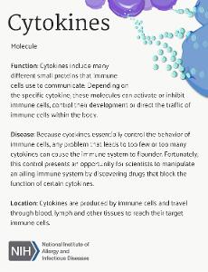 What is the role of cytokines in the body's immune system?