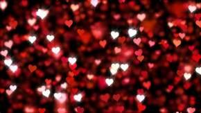 What would be the perfect date?