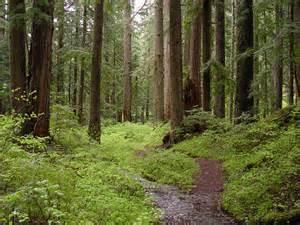 Are you the outdoorsy type?