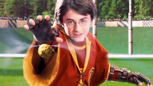 How did Harry catch his first snitch?