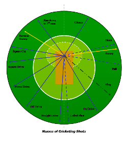 Which fielder position is closest to the batsman on the off side in cricket?
