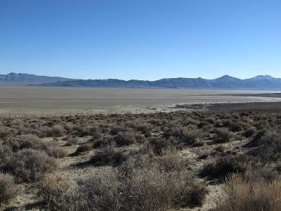 Which music festival takes place in the Nevada desert?