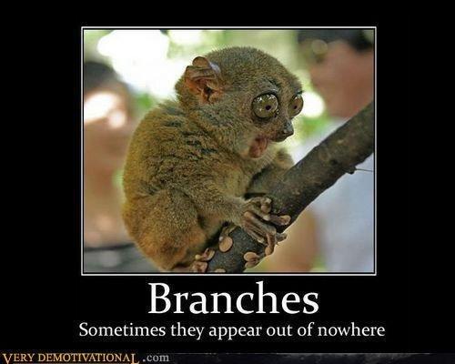 Are you adventurous?