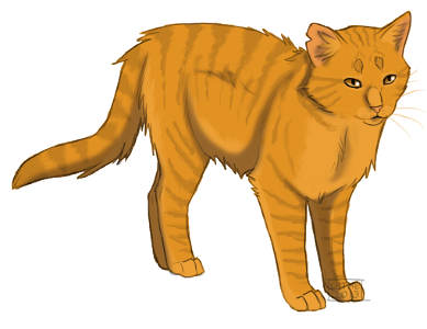 Which cat did lionblaze fall in love with?