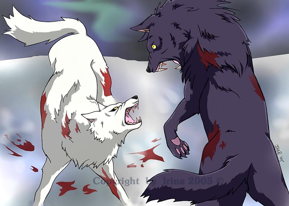 what if you got attacked by a southpaw wolf
