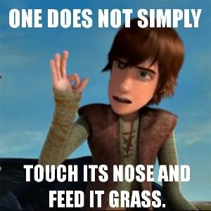 Who voices Hiccup?