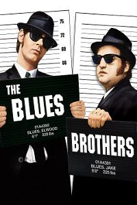 True or False...in the 80s movie, "The Blues Brothers", Chevy Chase played alongside John Belushi as the blues brothers.