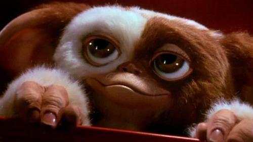 What is the name of Billy's Mogwai in Gremlins?
