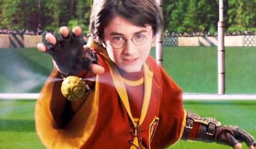 What quidditch position are you?