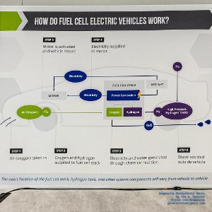 What type of fuel cell is commonly used in electric vehicles?