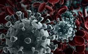 What does the virus affect