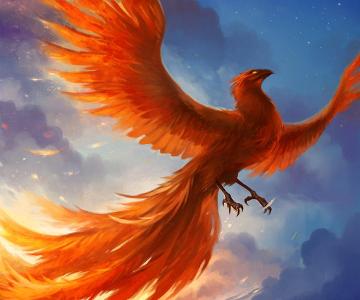 What is the main phoenix named?