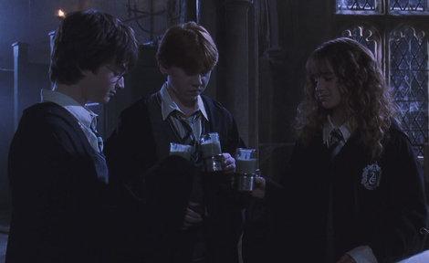Which potion did Harry, Ron and Hermione use in Moaning Murtle's bathroom?
