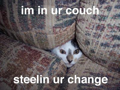 Has your cat ever gone between your cushions before?