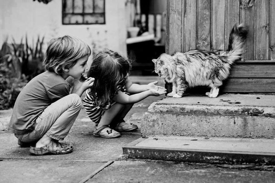 What kind of animal you want?