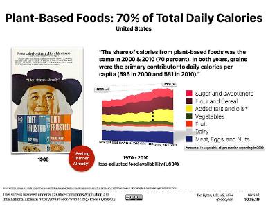 What percentage of your daily calories should come from carbohydrates?