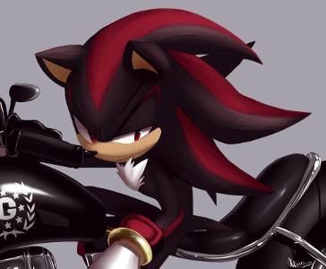Shadow opens the door and doesn't look happy to see u or Sonic. He ask what you want. You say...