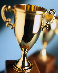 You won five trophies at an awards ceremony, one of the people there ask you to say a short speech. What would you say?