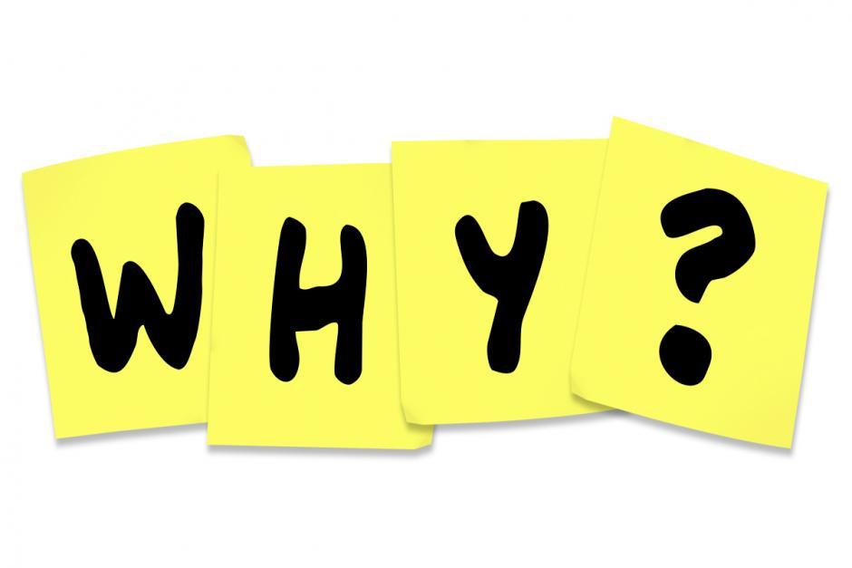 Why did you take this quiz?
