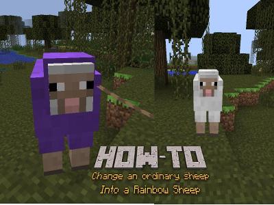 whath do you have to name a sheep to be rainbow only this one im telling you guys its jeb