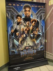 Which comic book movie features the character T'Challa?