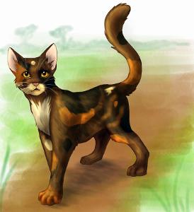 Who is the Thunderclan medicine cat?  Use a capital letter
