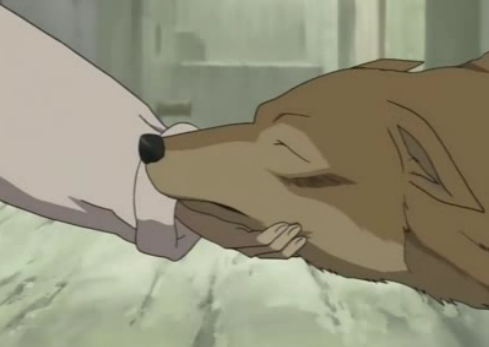 what do you think of humans?