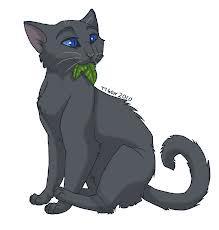 What sign did Cinderpelt get meaning Bluestar will rot from the inside?