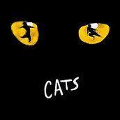 Which of these cat names are from the musical 'Cats'?