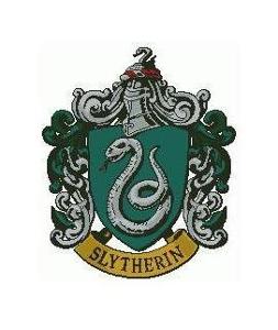 You are being bullied by a Slytherin! What do you do?