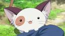 Do you like cats?