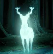 Which of these patronuses belong to any character. (basically, tick the animals who who somebody has the patronus of e.g. stag, because harry's is a stag.)