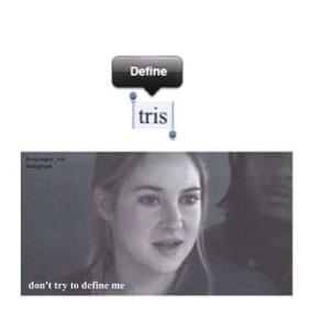 What is the name of the woman Tris meets and talks to in the fringe?