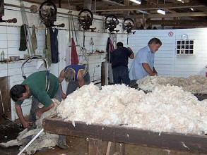 Who started the wool industry in Australia?