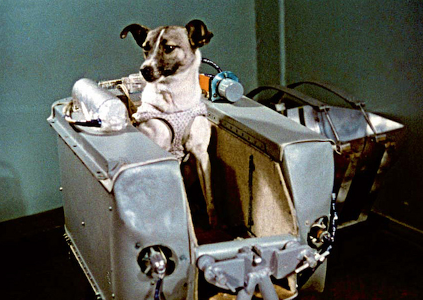 Who was the first dog in space?