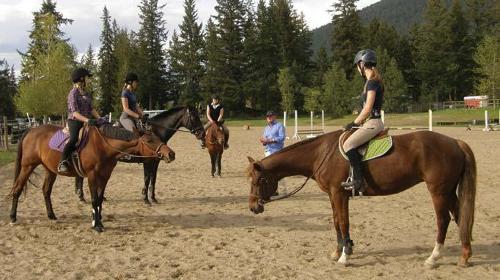 Would you make a good lesson horse? If so, for adults or kids?
