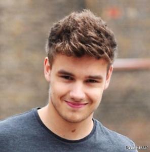 Liam: Right, you're still here. Sorry. So, if we were ugly but could still sing, would you like us? Me: You sure are the mature one, no wonder why you're the leader. Liam: *smiles*