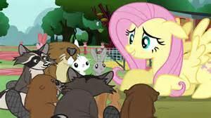 Fluttershy : So, meet my Animal Friends! *a thousands of animals rush in* Would you help me take care of them?