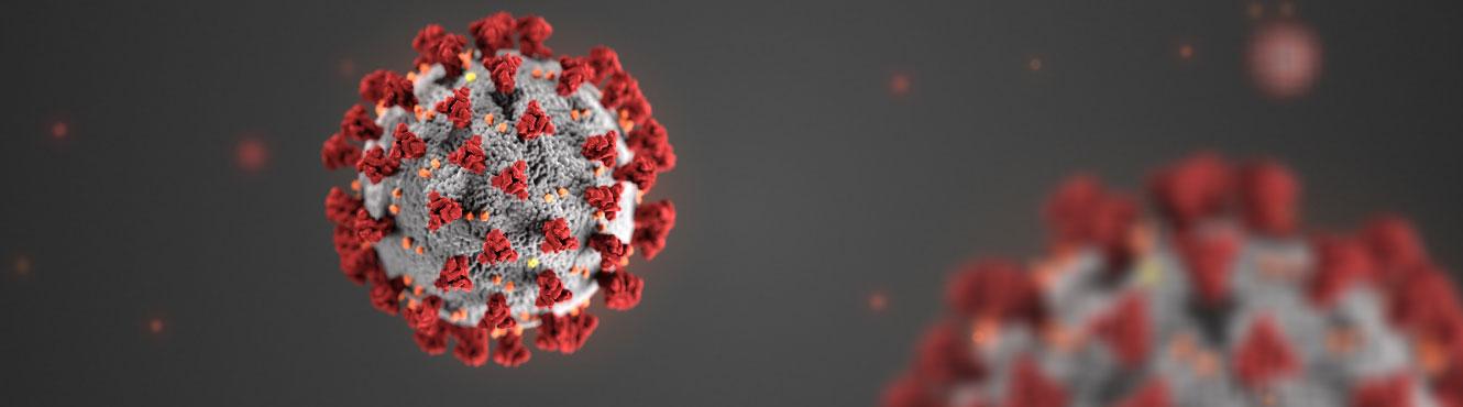 What animals can carry the Virus