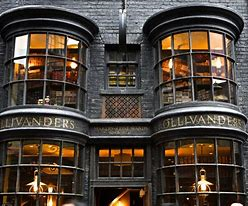 You have entered Ollivander's Wand Shop. What wand core do you have?